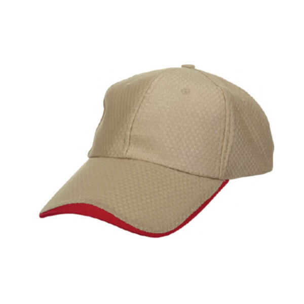 CP1311