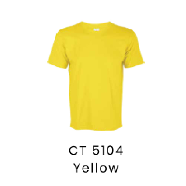 Y-01