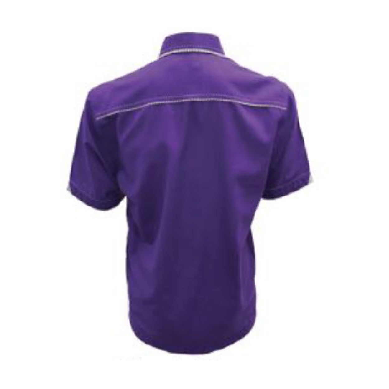 PL8001BACK-01