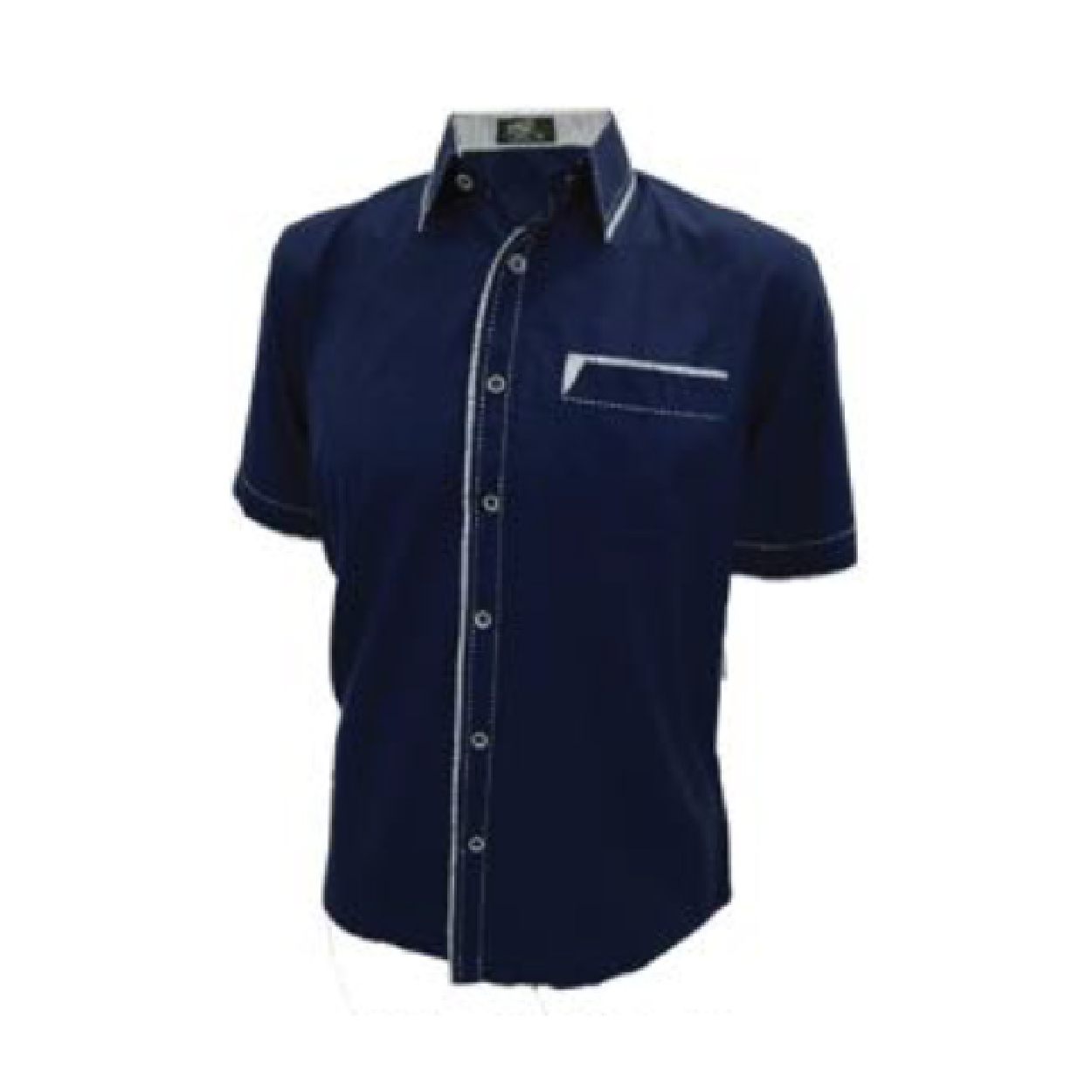 PL8001H-01