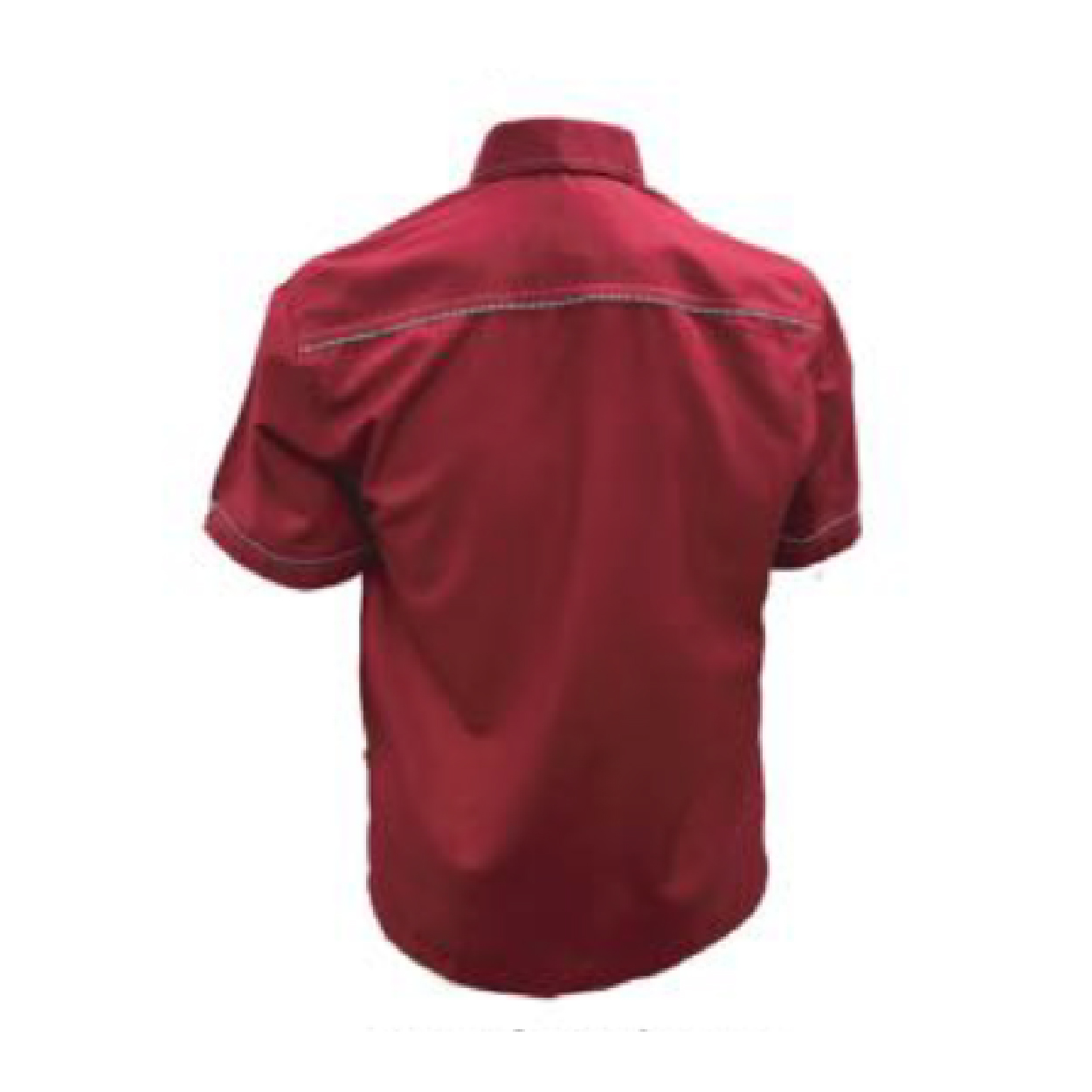 PL8002 BACK-01