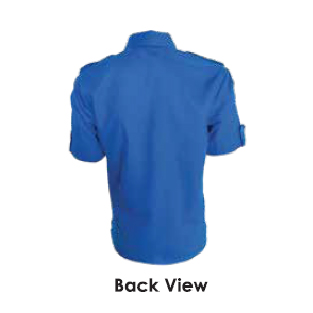 BACK-01