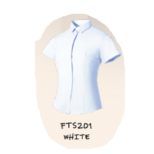 FTS201-01