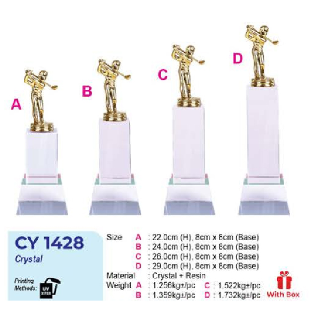 CY 1428-01