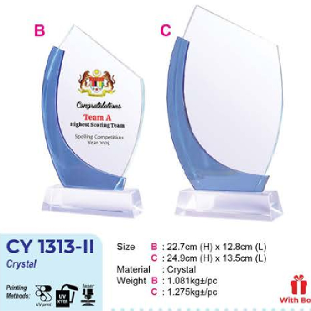 CY1313-11-01