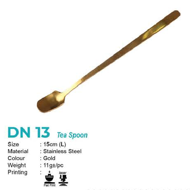 DN 13-01